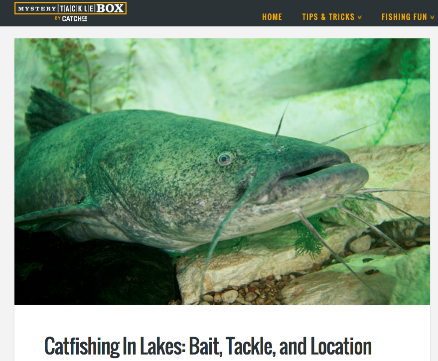 Mystery Tackle Box – Catfishing in Lakes