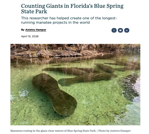 Counting Giants in Florida's Blue Spring State Park Sierra Magazine